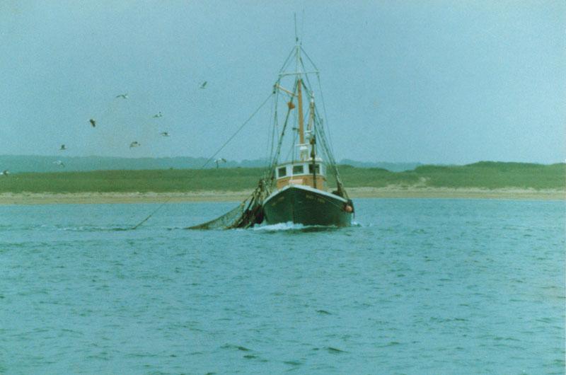 Jimmy Morgan fished from the Mary and Verna for almost forty years out of Menemsha. In July 2008, the retired fisherman was featured in the magazine, which has covered recreational and commercial fishing regularly through the years. Some of our favorite fishing covers are facing.