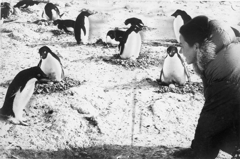 On an expedition to Antarctica in 1970.