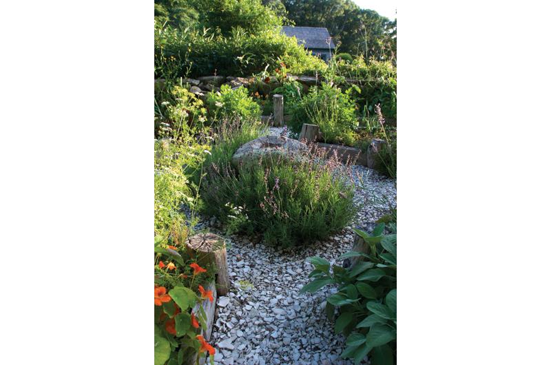 Roxanne’s Top Herbs: Parsley, Lavender, Oregano, Tarragon, Bay leaf, Rosemary, Cilantro, Winter savory, Marjoram, and Lemongrass.