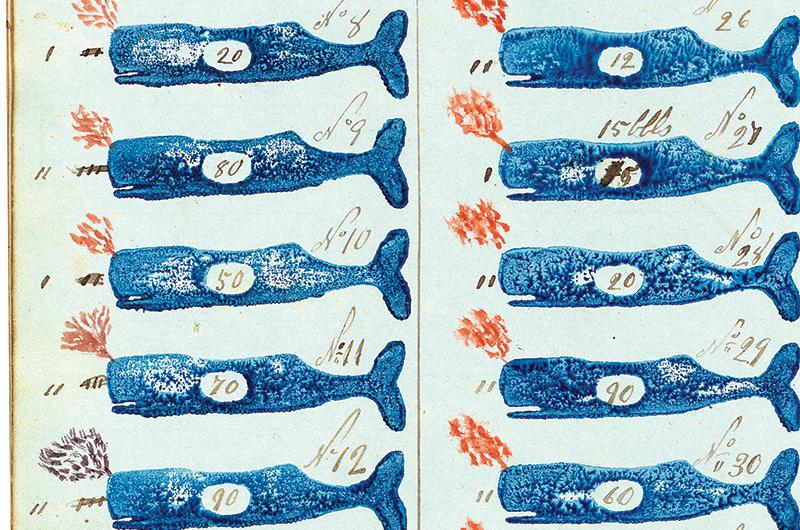 A log from a Vineyard whaling ship documents the number of whales killed and barrels of oil each produced.