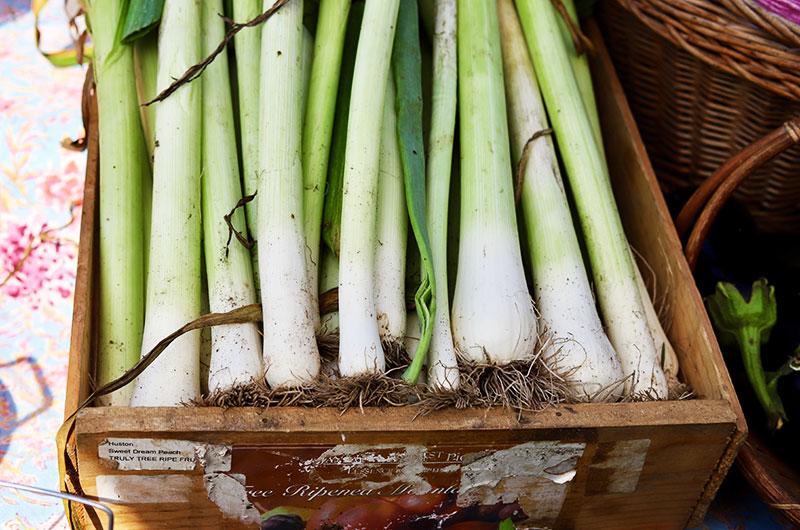 This time of year, Morning Glory's epic leeks begin to show up.