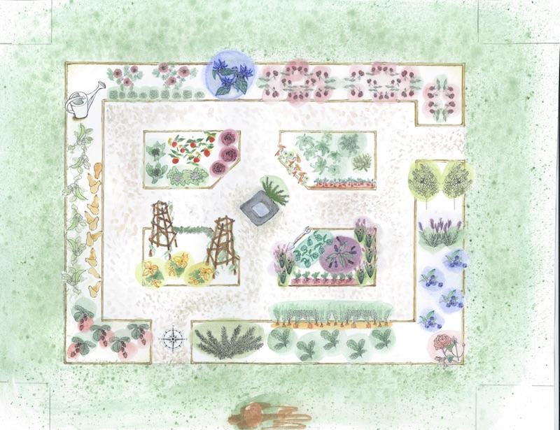 The Brannens’ West Tisbury Kitchen Garden: Four 6-x-10-foot beds arranged
around a bird bath with a generous path around all and a wide outer bed. In the actual garden the widths of the paths and outer beds vary slightly, but the finished garden is approximately 30 x 40 feet and has roughly 600 square feet of raised beds.