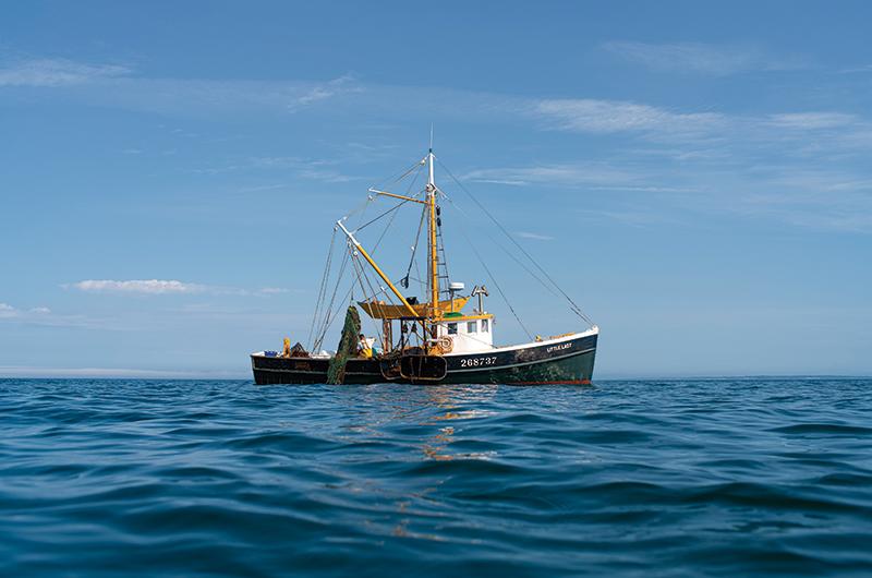 The Little Lady’s canary-yellow mast is known by most who visit Menemsha Harbor.