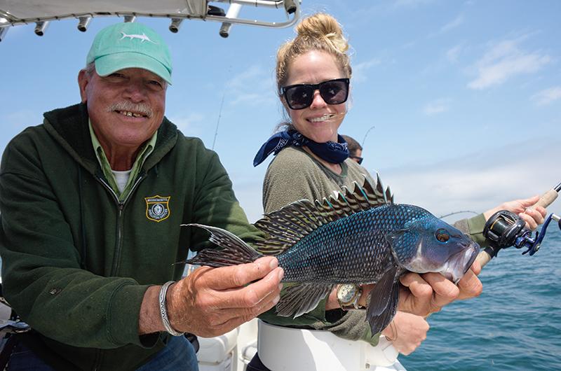 White seabass run slows down