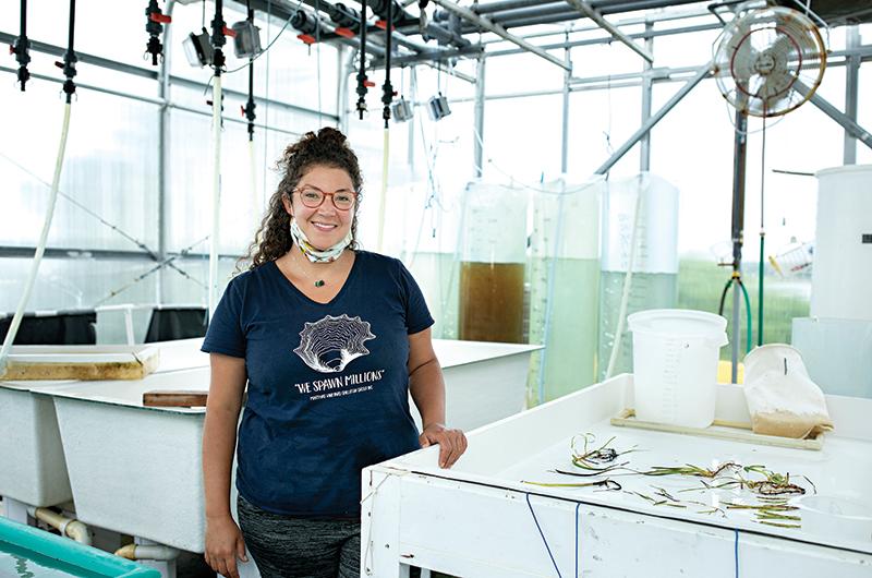 Emma Green-Beach, executive director of the Martha’s Vineyard Shellfish Group, attributes eelgrass decline to multiple stressors.