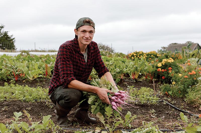 Seth Miller (above) and Beatrice Scott (below) plant and harvest crops for the farm stand and the West Tisbury Farmers’ Market.