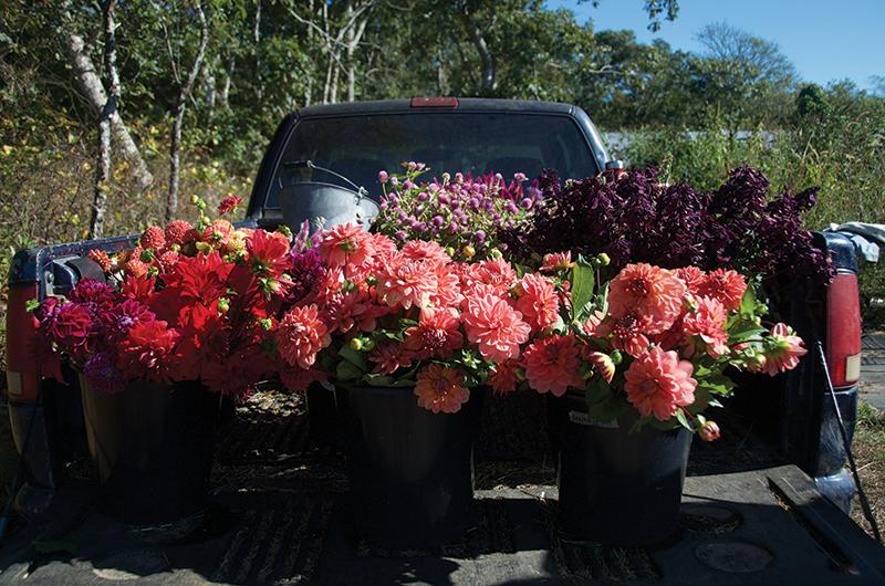 Vineyard Flower Box Stand