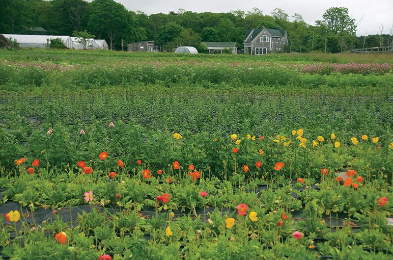 Vineyard Flower Box Stand