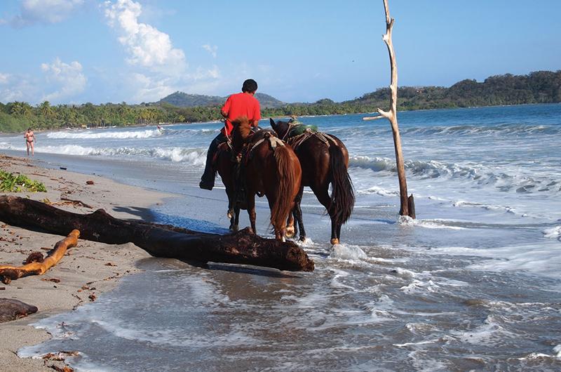 In the seaside town of Nosara: horseback riding along the beach.