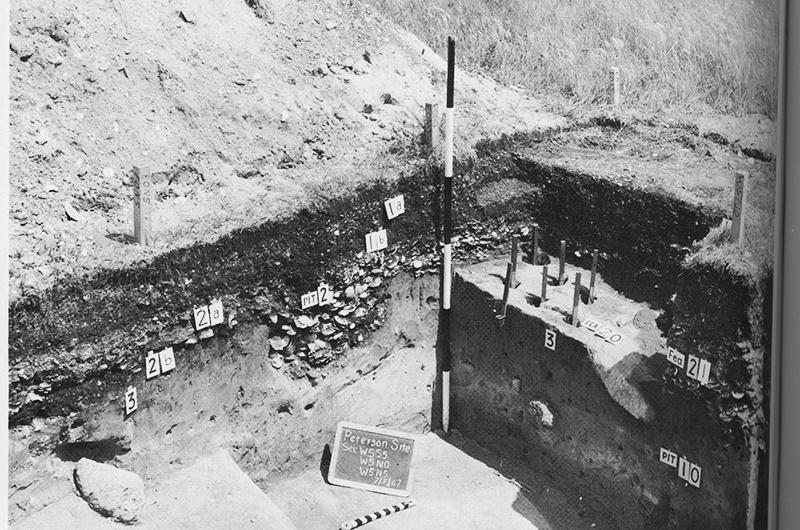 By the 1950s archeological digs were standard on the Island. One such Chilmark dig was seen in William Ritchie’s The Archeology of Martha’s Vineyard.