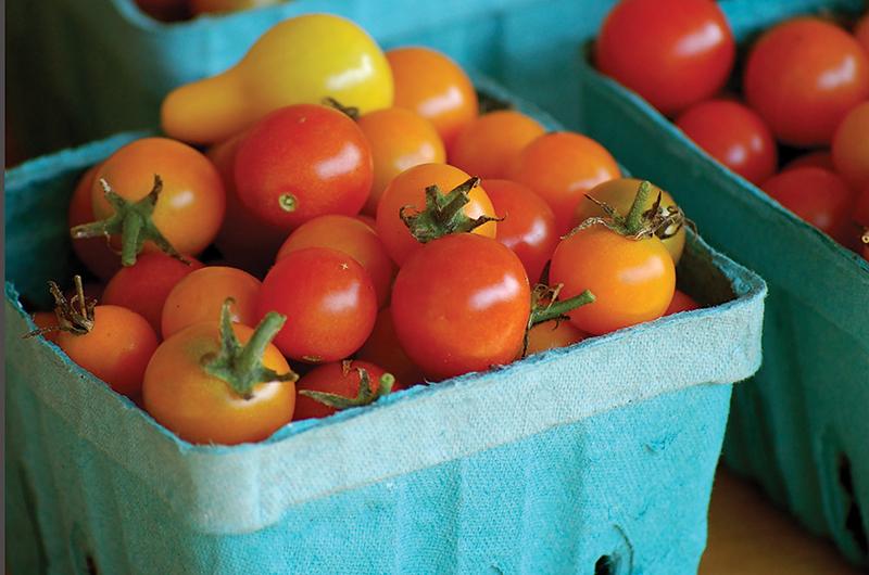 Martha's Vineyard Magazine | Shall I Compare Thee to a Cherry Tomato?