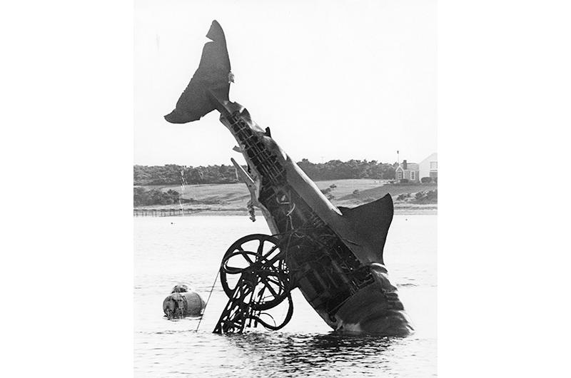 The platform shark takes the plunge, Katama Bay, September 1974.