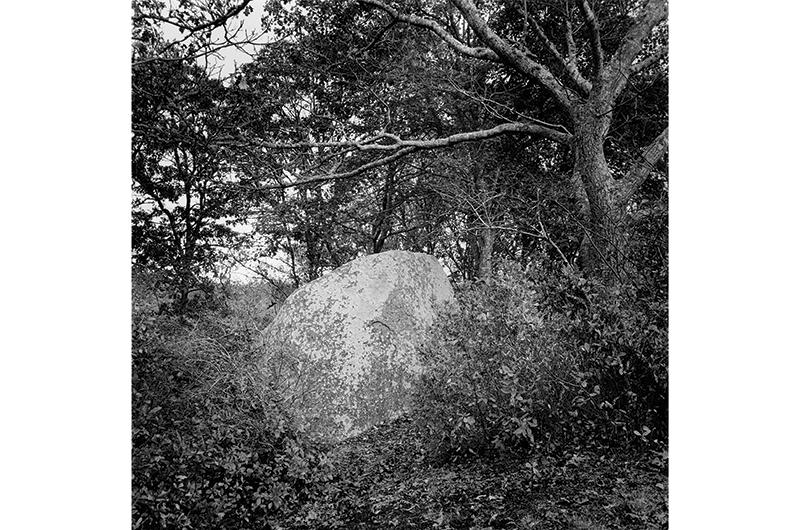 Erratic 6: Soft Rock, Chilmark, 2013.