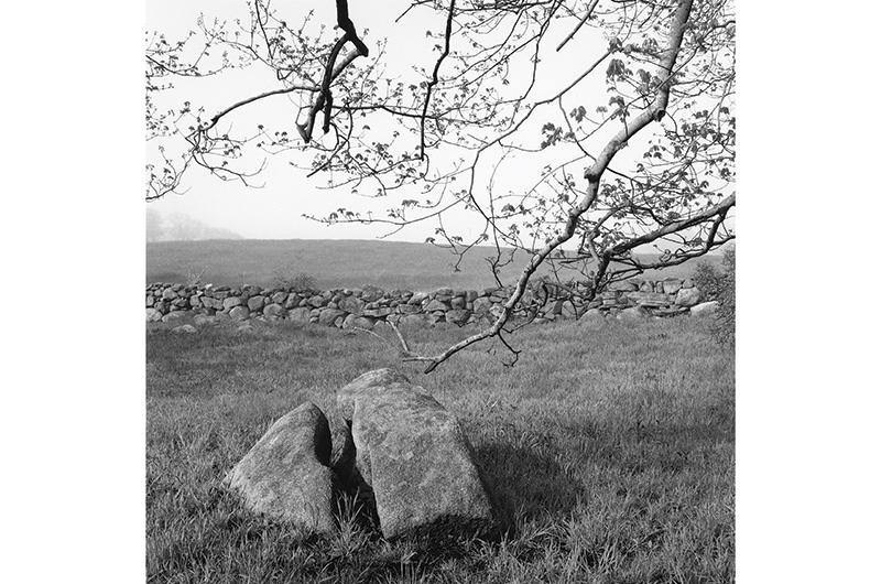 Erratic 27: Split Erratic, Chilmark, 2005.
