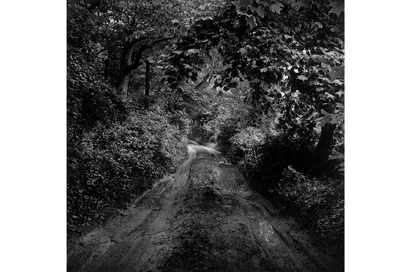 Muddy Road, West Tisbury, 2000.
