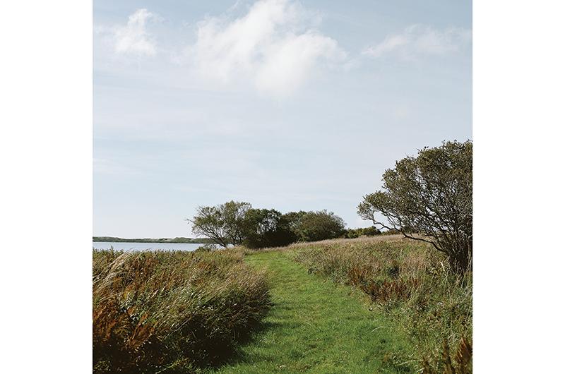A path looks out to Squibnocket Pond.