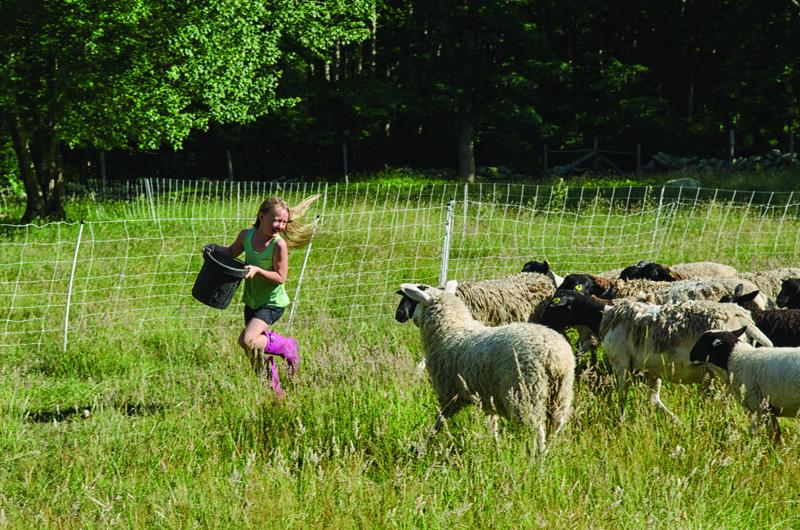 Charlotte Scott runs with the herd at Beetlebung Farm.