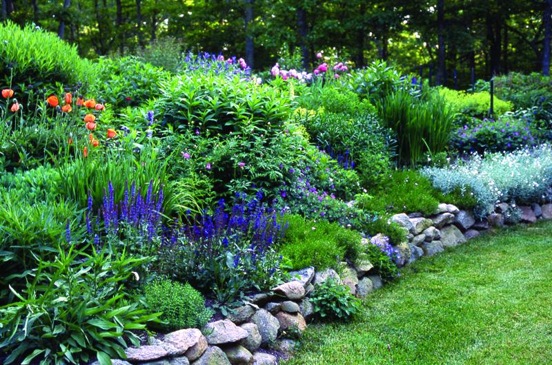 Schwier’s own garden in bloom.