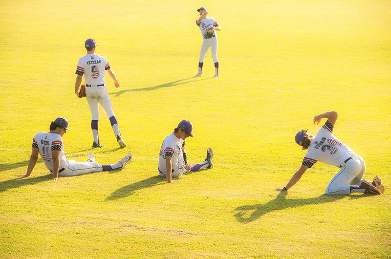 Sharks Warming Up